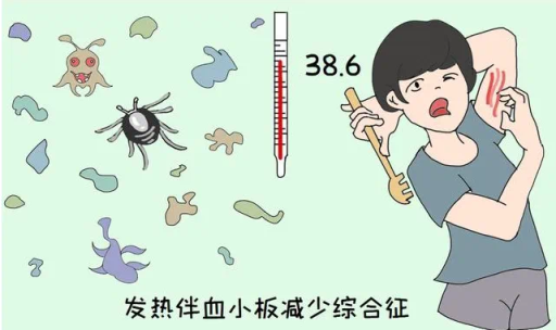 港联证券 病死率高达20%！“五一”出游谨防蜱虫叮咬，预防指南来了
